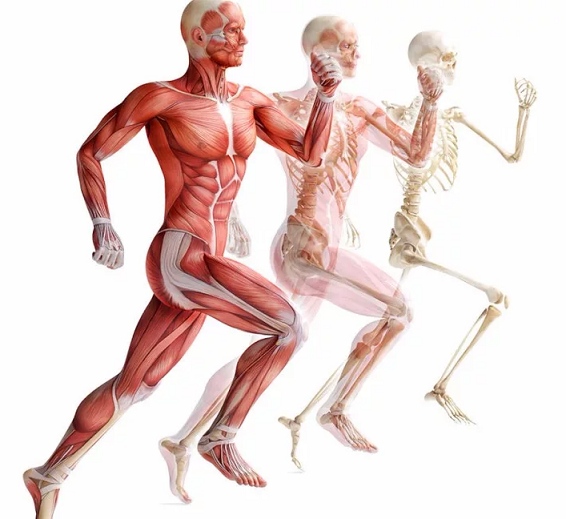 [Александр Волоткевич] Часть 2. Коррекция во фронт_0.png